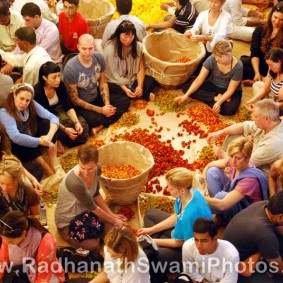 Guest at Radhagopinath Temple 283x283 Radhanath Swami During Pusya Abhishek Festival   2012
