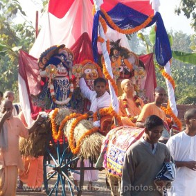 Radhanath Swami at Goverdhan Farm 283x283 Radhanath Swami In Govardhan Ashram