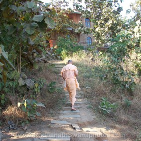Swami Radhanath Radhanath Swami in goverdhan farm 283x283 Radhanath Swami In Govardhan Ashram