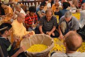 Radhanath Swami plucking flower petals for the festival