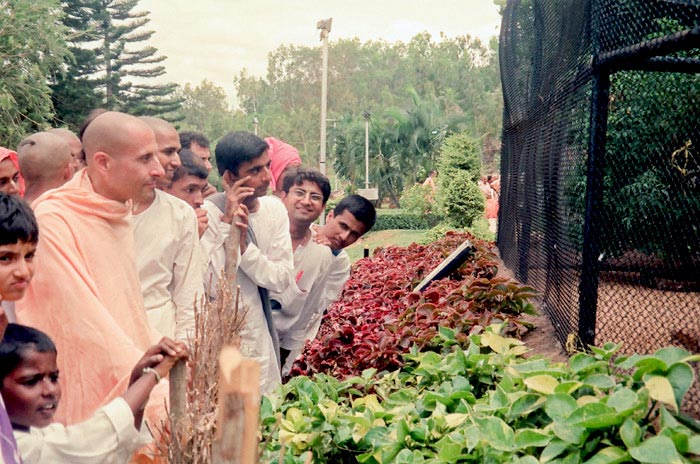 Radhanath Swami Maharaj