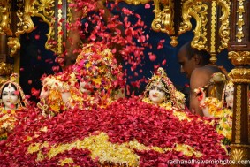 Flower abhishek for the dieties - Radhanath Swami