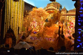 Flower abhishek for the dieties - Radhanath Swami