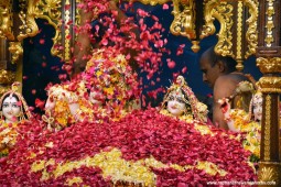 Pushya Abhishek to Sri Sri Radha Gopinathji