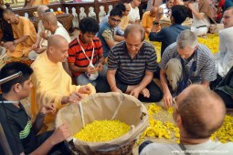 Radhanath Swami plucking flower