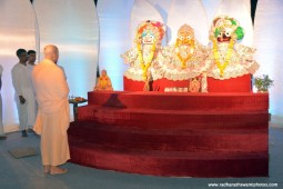 Radhanath Swami taking darshan of Lord Jagannath